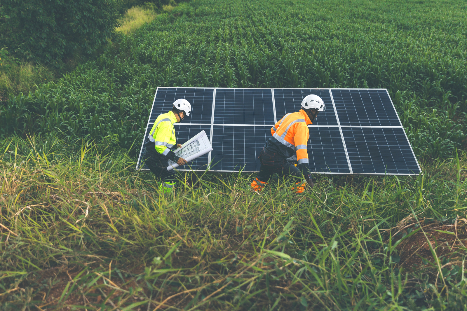 Can You Use Solar Panels on Agricultural Land?